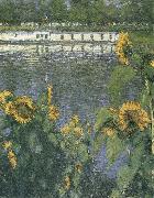 Gustave Caillebotte The sunflowers of waterside Norge oil painting reproduction